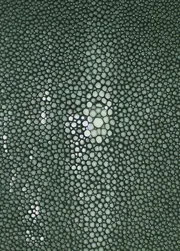 Shagreen