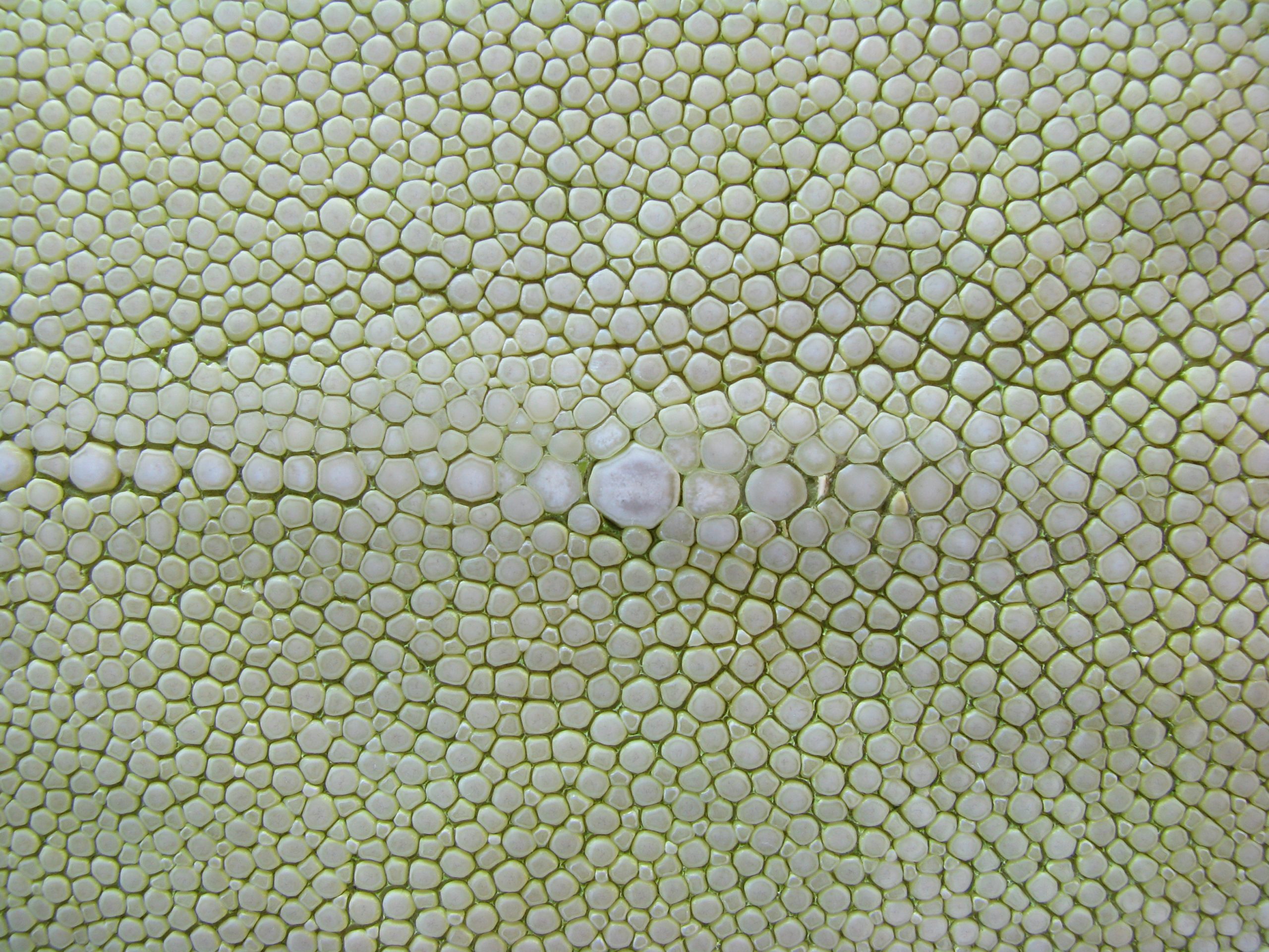 Materials and finishes detail